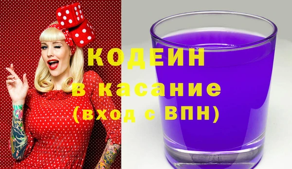 индика Аркадак