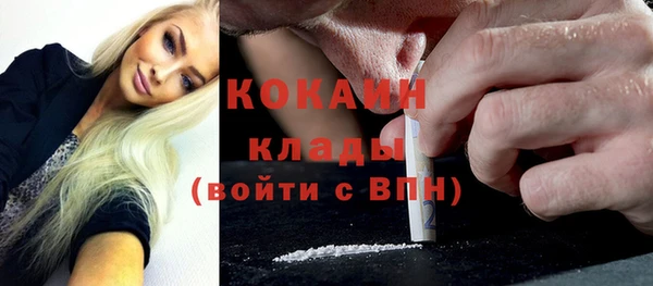 амф Осинники