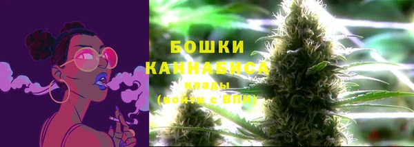 ECSTASY Армянск