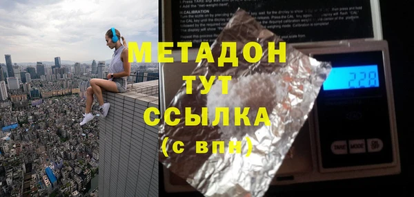 индика Аркадак