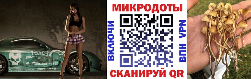 Псилоцибиновые грибы Psilocybine cubensis  кракен как зайти  Бакал 